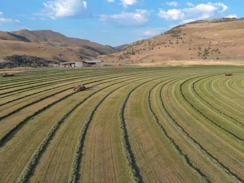 The Town Site — Lake County, Oregon