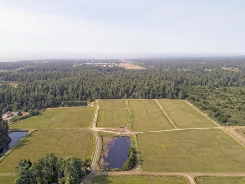 Beach Loop Cranberry Farm — Coos County, Oregon