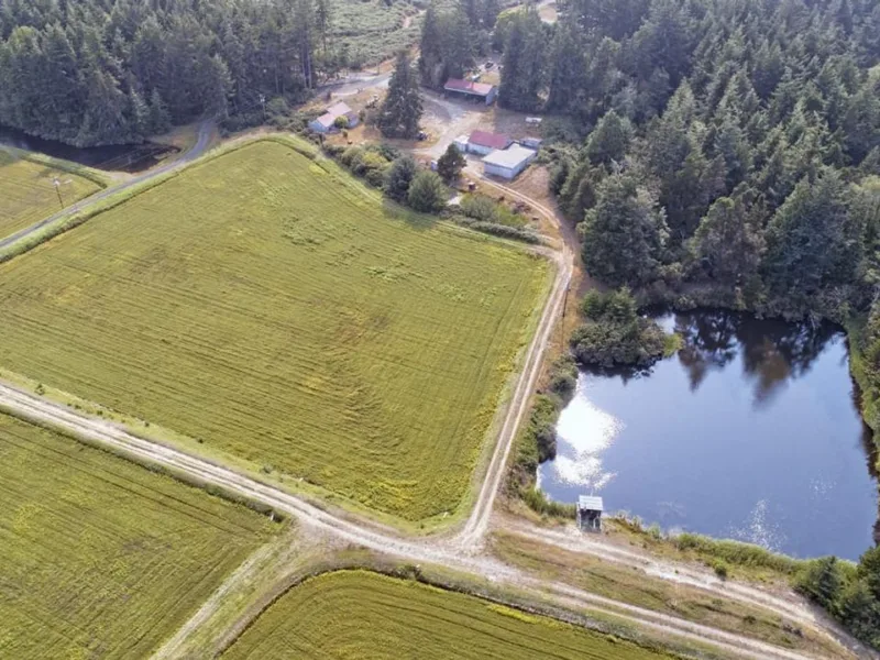Beach Loop Cranberry Farm — Coos County, Oregon