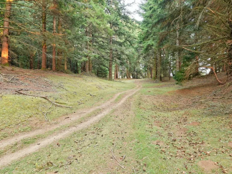 Langlois Beautiful Property — Curry County, Oregon