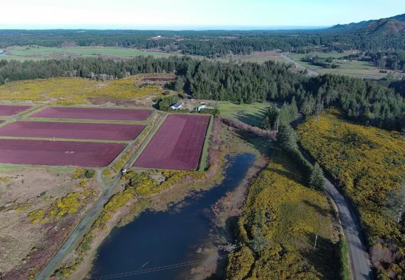 Cranberry Farm and Home — Curry County, Oregon