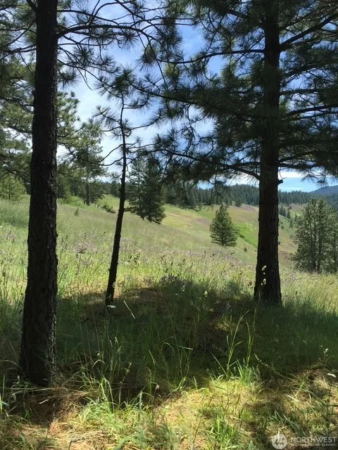 Dixie Mountain Retreat