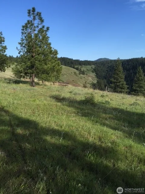 Dixie Mountain Retreat