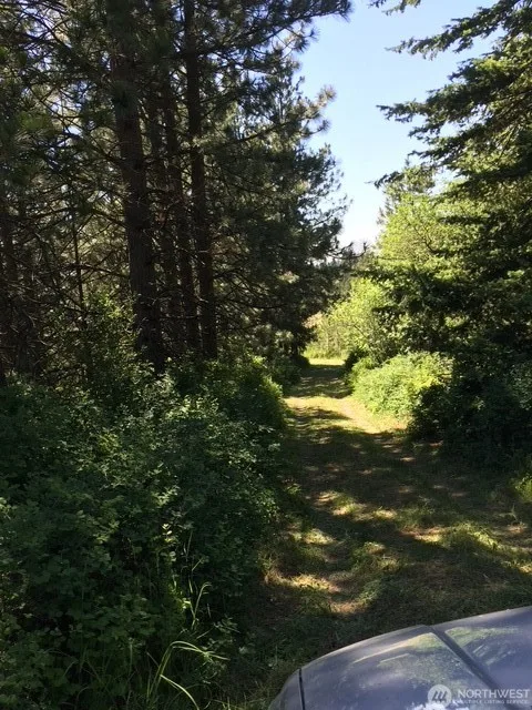 Dixie Mountain Retreat