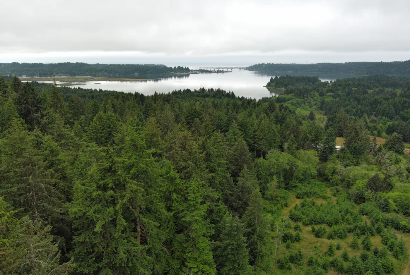 80 Acres with Alsea Bay Views
