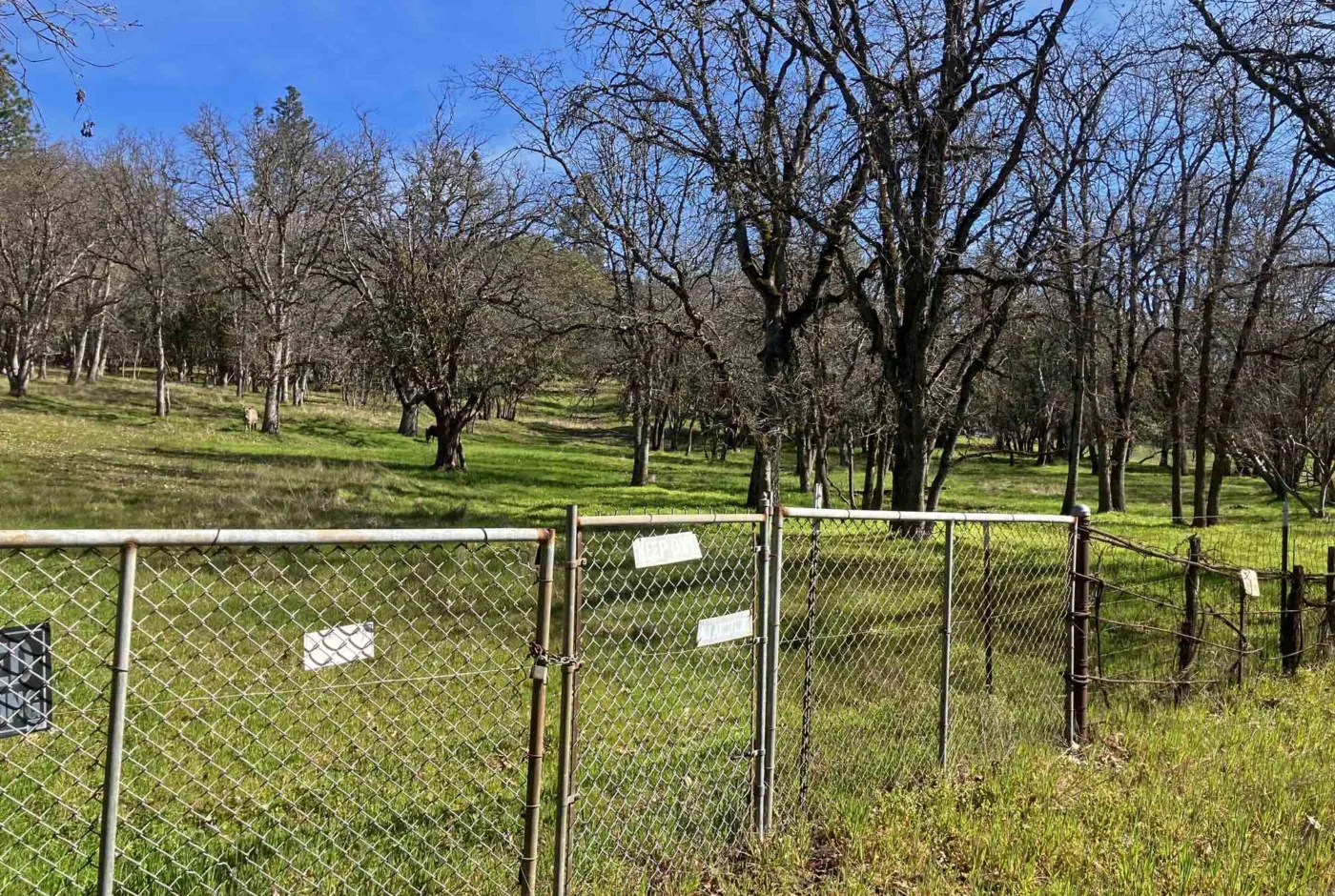 Rogue Valley View Acreage