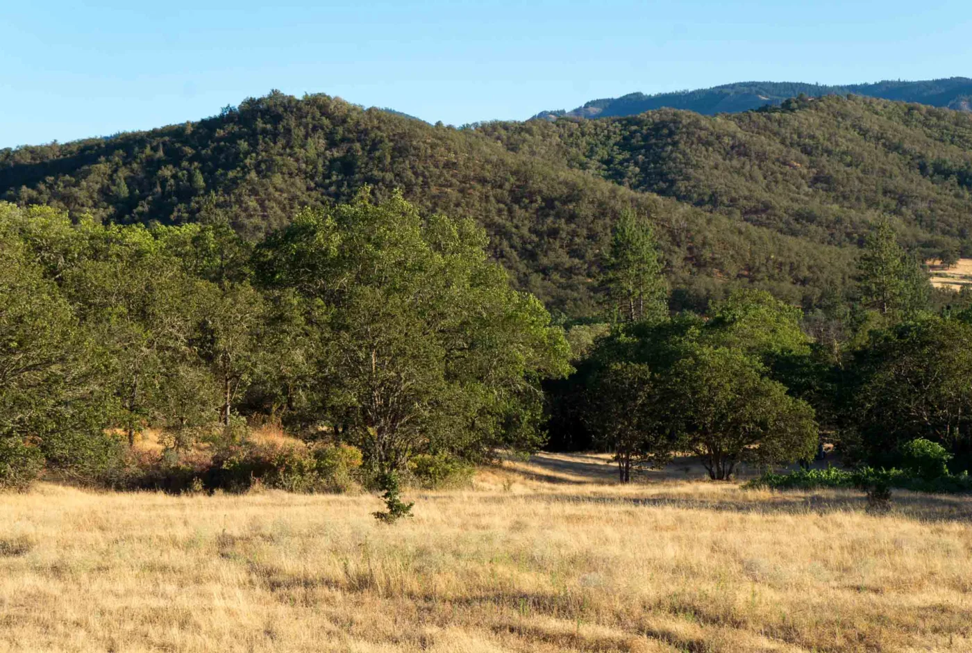 Rogue Valley View Acreage
