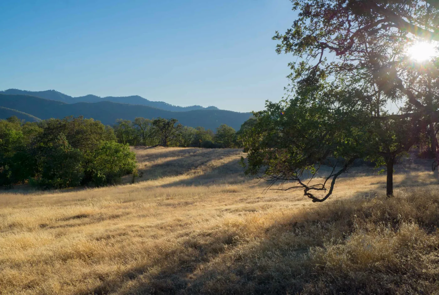 Rogue Valley View Acreage