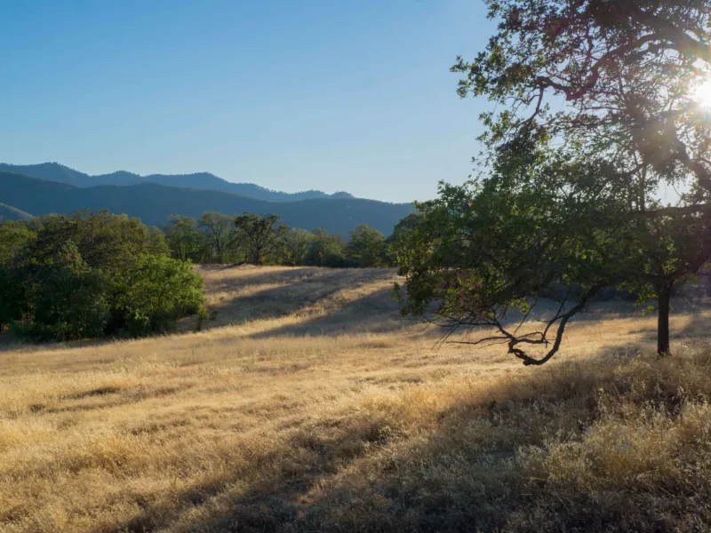 Rogue Valley View Acreage — Jackson County, Oregon