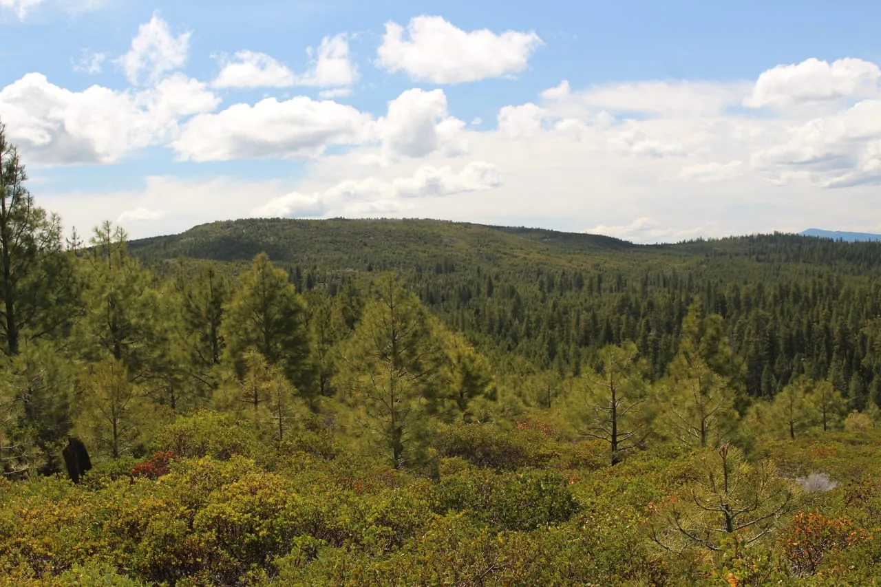 Tower Springs- 158 Acres