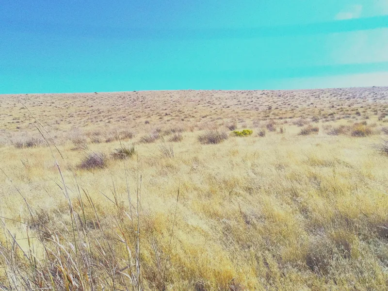 Wooden Rd — Walla Walla County, Washington