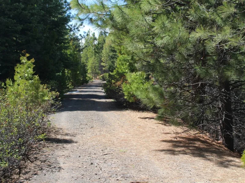 Tower Springs- 158 Acres — Klamath County, Oregon