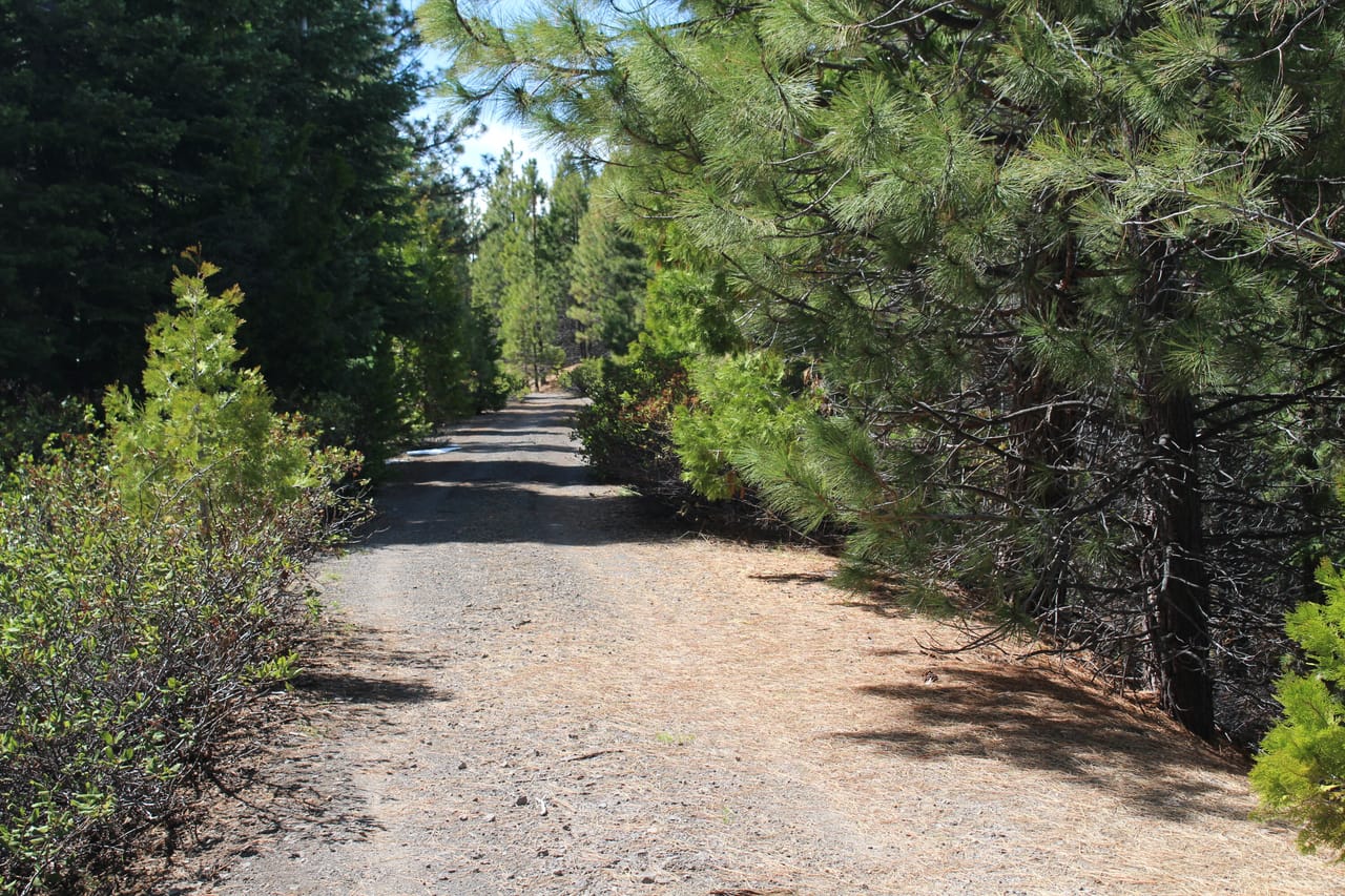 Tower Springs- 158 Acres